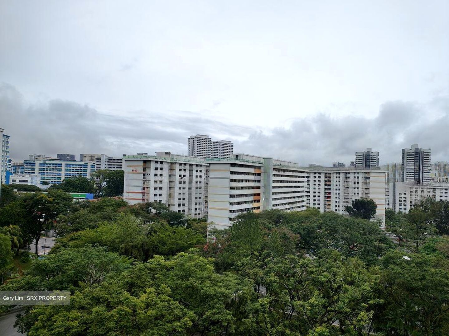Blk 31 Telok Blangah Rise (Bukit Merah), HDB 3 Rooms #512889971